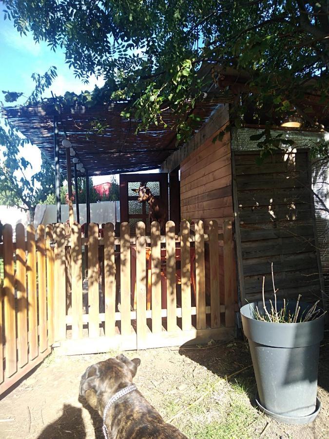Les Maitres Sonneurs Bed and Breakfast Huriel Exteriör bild